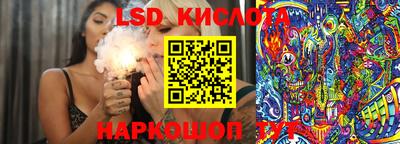 прущие грибы Партизанск
