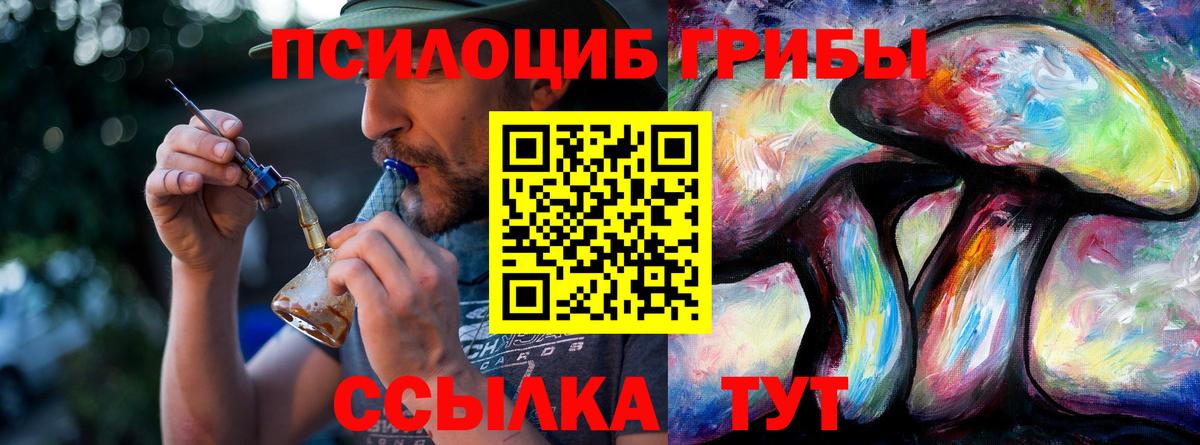 Семилуки  Псилоцибиновые грибы MAGIC MUSHROOMS  Вход с VPN  Псилоцибиновые грибы прущие грибы 